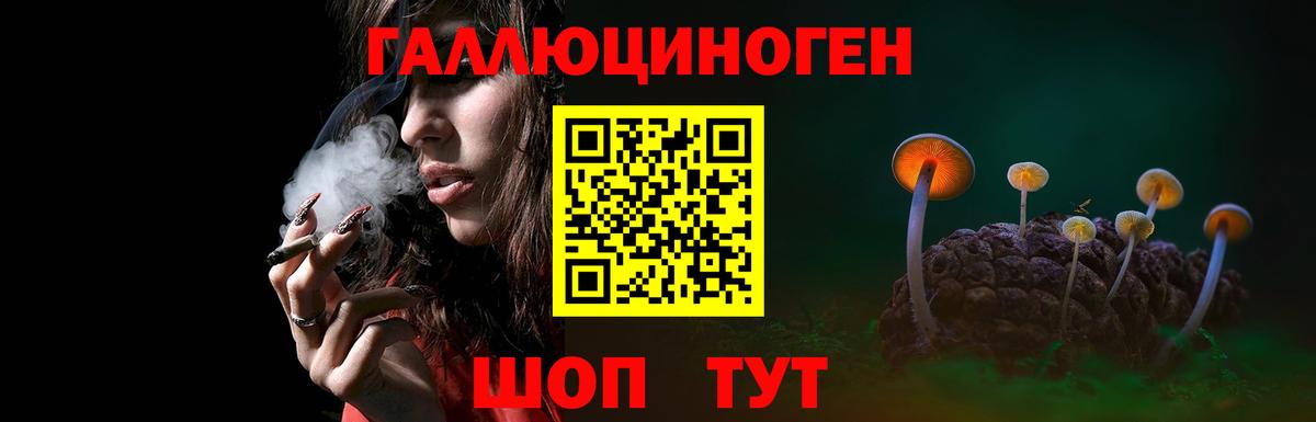 купить наркоту  Вход с VPN  Псилоцибиновые грибы MAGIC MUSHROOMS  Казань  Псилоцибиновые грибы мухоморы 